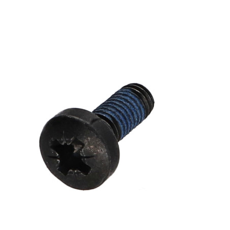 1 x Vis métaux tête cylindrique bombée large Pozi N°3 M6X16 Acier zingué noir Frein filet 3M2353 360°