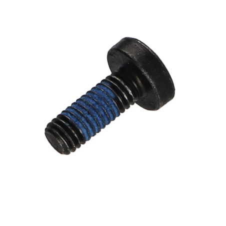 1 x Vis métaux tête cylindrique bombée large Pozi N°3 M6X16 Acier zingué noir Frein filet 3M2353 360°