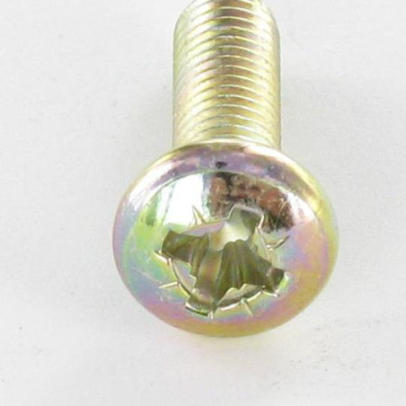 1 x Vis métaux tête cylindrique bombée large Pozi N°2 M5X16 Bichromaté
