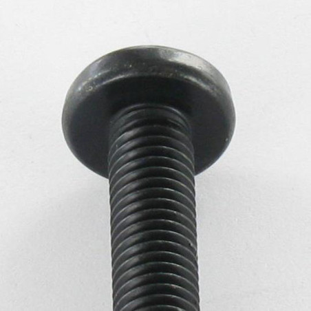 1 x Vis métaux tête cylindrique bombée large Pozi N°2 M5X12 Acier zingué noir
