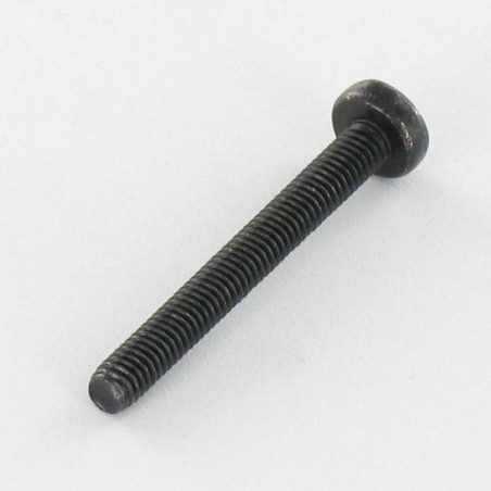 1 x Vis métaux Inox A2 tête cylindrique bombée large Pozi N°1 M3X20 Noir microvis