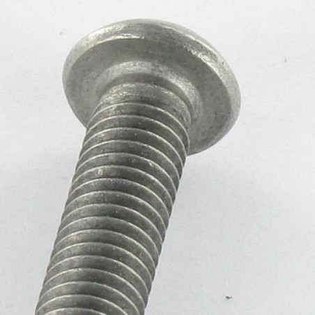 1 x Vis métaux Inox A2 Inviolable Tête bombée TORX T40 avec téton M8X30