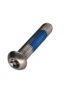 Vis métaux Inox A2 Inviolable Tête bombée TORX T40 avec...