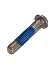 Vis métaux Inox A2 Inviolable Tête bombée TORX T40 avec... 2