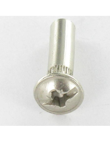 1 x Ecrou Relieur POZI et fendu M4X15 5X20...