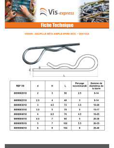 Goupille Beta Inox A2 4 2
