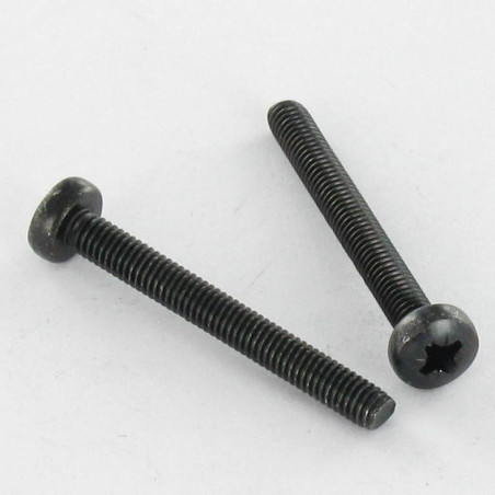 1 x Vis métaux Inox A2 tête cylindrique bombée large Pozi N°2 M5X40 Noir