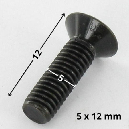 1 x Vis métaux Tête fraisée Pozi N°2 M5X12 Acier zingué noir