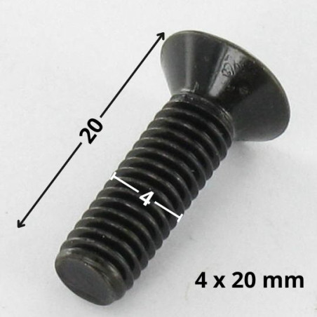 1 x Vis métaux Tête fraisée Pozi N°2 M4X20 Acier zingué noir
