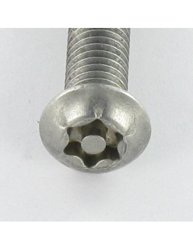 1 x Vis métaux Inox A2 Inviolable Tête bombée...