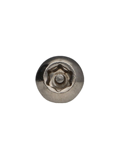 1 x Vis métaux Inox A2 Inviolable Tête bombée...