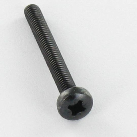 1 x Vis métaux Inox A2 tête cylindrique bombée large Pozi N°2 M5X35 Noir