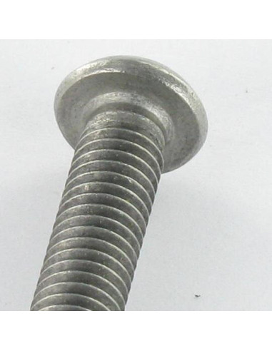 1 x Vis métaux Inox A2 Inviolable Tête bombée...