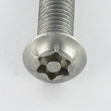 1 x Vis métaux Inox A2 Inviolable Tête bombée TORX T20 avec téton M4X10