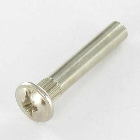 1 x Ecrou Relieur Tête Poelier POZI et fendu M4X15 5X30 Acier nickelé