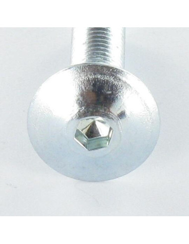 1 x Vis Poelier M6X55 Clé de 4 HC4 Acier zingué