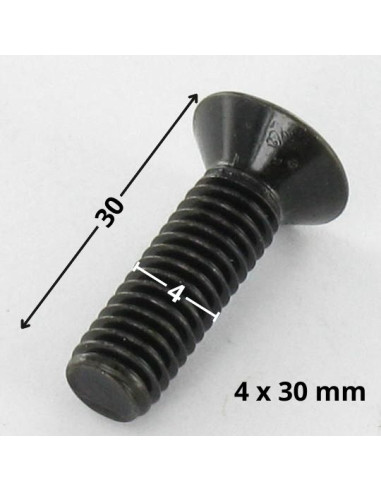 1 x Vis métaux Tête fraisée Pozi N°2 M4X30...