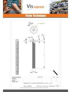 Vis métaux tête plate Clé de 4 HC4 M6X90 Frein filet... 2