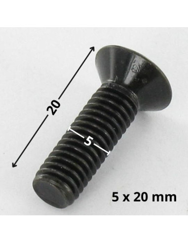 1 x Vis métaux Tête fraisée Pozi N°2 M5X20...