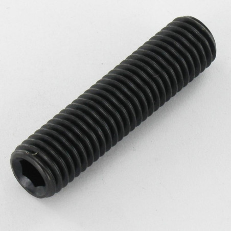 1 x Vis métaux Sans tête six pans creux (sthc) Clé de 6 HC6 M12X16 Bout cuvette Acier brut