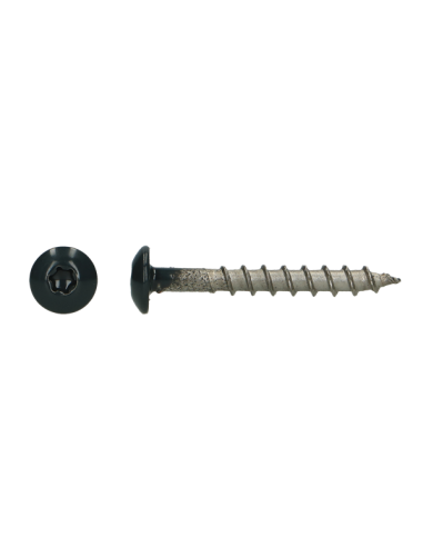 1 x Vis Penture 4.5X35 TORX T20 Inox A4 RAL7016...