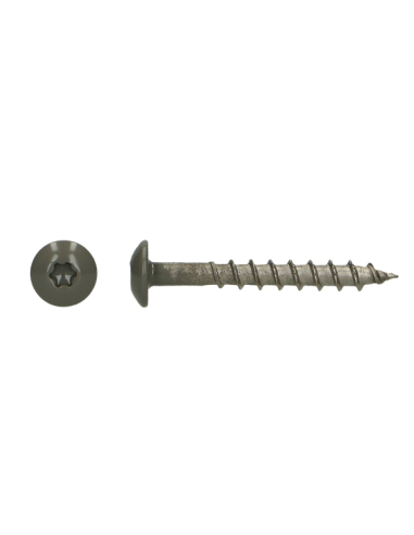 1 x Vis Penture 4.5X35 TORX T20 Inox A4 RAL7039