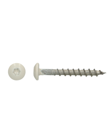 1 x Vis Penture 4.5X35 TORX T20 Inox A4 RAL9001...