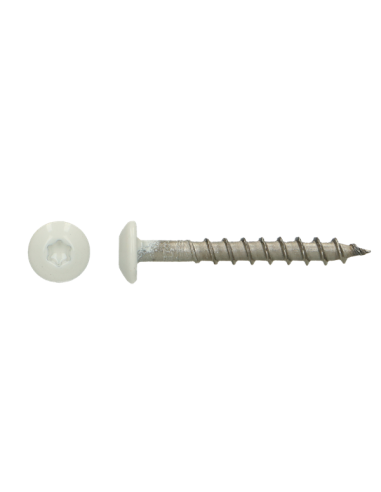 1 x Vis Penture 4.5X35 TORX T20 Inox A4 RAL9010...