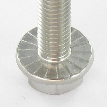 1 x Vis métaux Tête hexagonale TH Embase collerette crantée M5X25 Inox A4