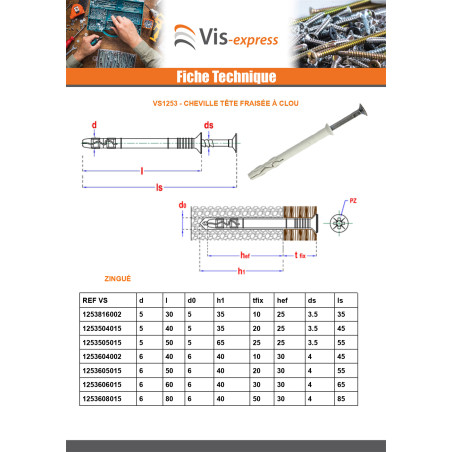 1 x Cheville à frapper clou-vis Inox A2 8X120