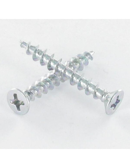 1 x Vis pvc Tête fraisée bombée TFB Phillips 4.3X25 Acier zingué 96 heures brouillard salin sans rouille blanche