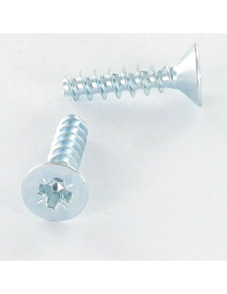 1 x Vis pvc Tête fraisée Pozi 6X25 Acier zingué