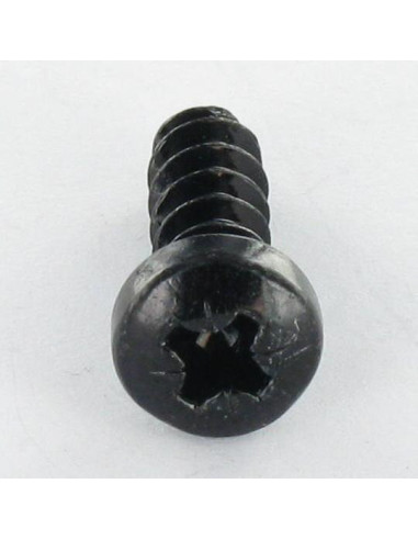 1 x Vis pvc Tête cylindrique bombée TCB Pozi...