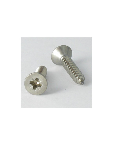 1 x Vis tôle Tête fraisée Pozi 4.8X22 Inox A4