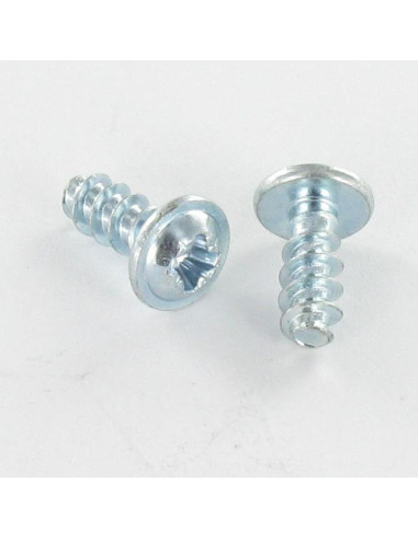 1 x Vis pvc Poelier Pozi N°2 4X10 Acier zingué