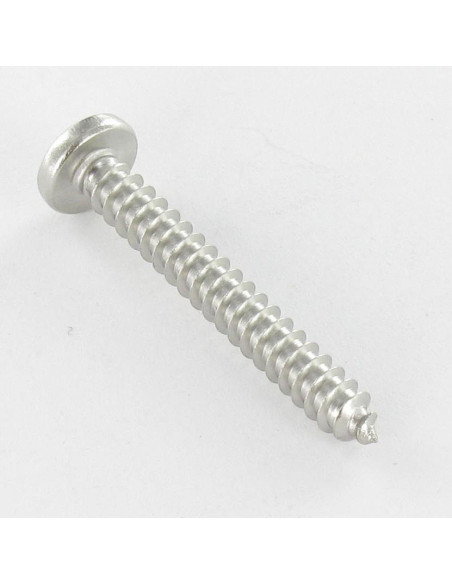 1 x Vis tôle tête cylindrique bombée large Pozi 4.8X22 Inox A4