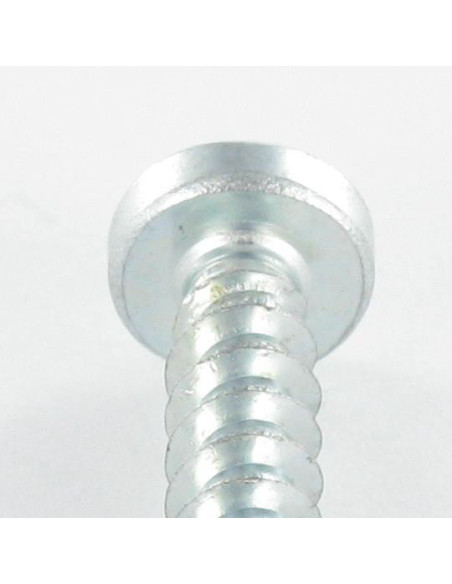 1 x Vis pvc Tête cylindrique TC Pozi 6X29 Filet 40 Degrès Acier zingué