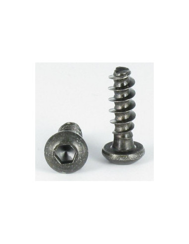 1 x Vis pvc BHC (Tête Bombée Hexagonal creux)...