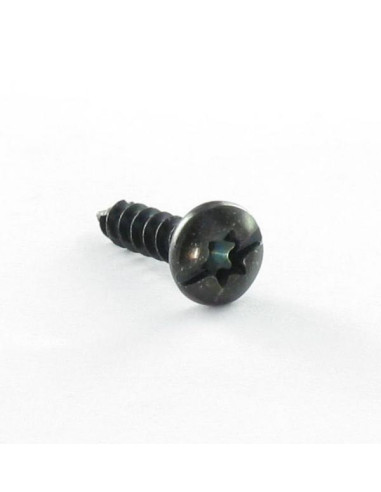 1 x Vis pvc Poelier TORX T20 + Fendue 4X16...