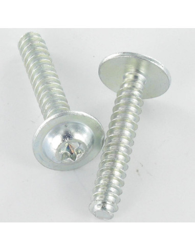 1 x Vis pvc Tête ronde large 5X30 TORX T25...