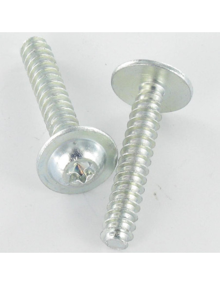1 x Vis pvc Tête ronde large 5X30 TORX T25 Acier zingué