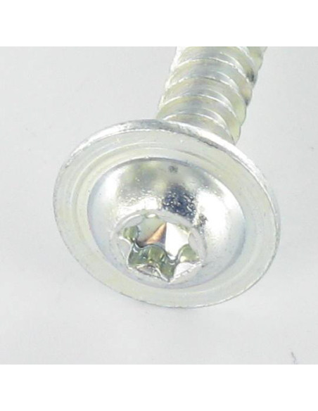 1 x Vis pvc Tête ronde large 5X30 TORX T25 Acier zingué