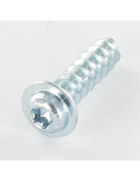 1 x Vis pvc Tête cylindrique TC TORX T10 3X10 Acier zingué microvis