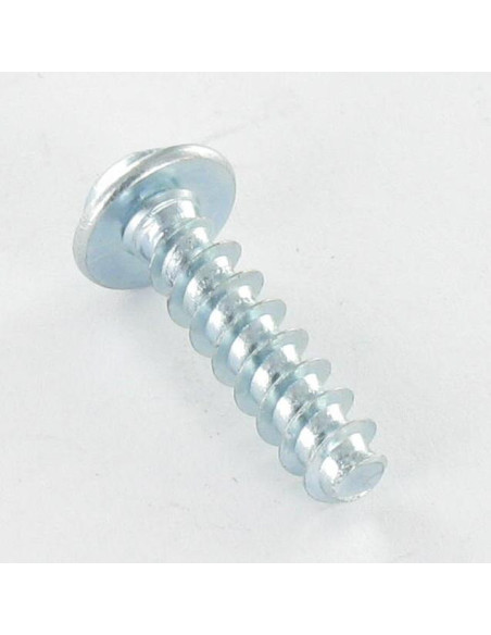1 x Vis pvc Tête cylindrique TC TORX T10 3X10 Acier zingué microvis