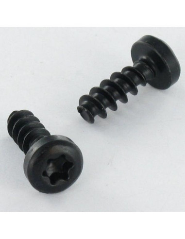 1 x Vis pvc Tête cylindrique TC TORX T10 3X10...