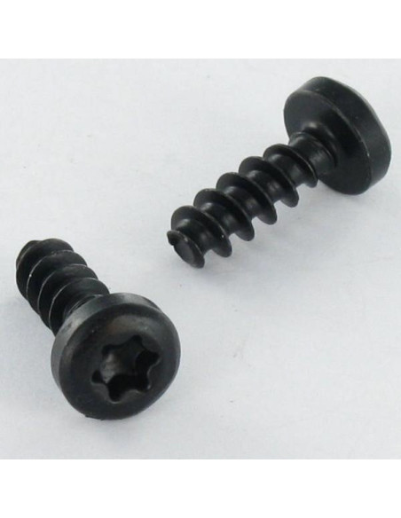 1 x Vis pvc Tête cylindrique TC TORX T10 3X10 Acier zingué noir microvis