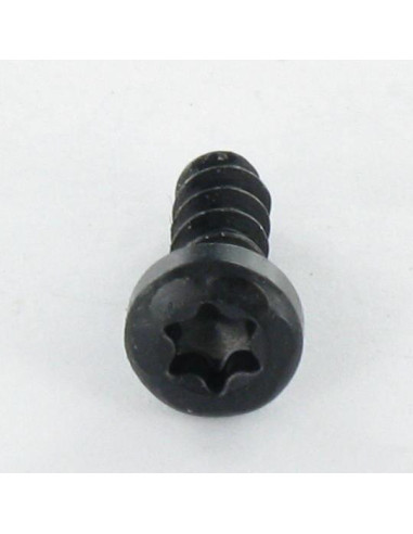 1 x Vis pvc Tête cylindrique TC TORX T10 3X10...