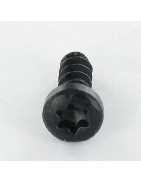 1 x Vis pvc Tête cylindrique TC TORX T10 3X10 Acier zingué noir microvis