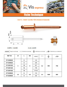 Rivet Tête Ronde Standard cuivre tige acier 4.8X16... 2
