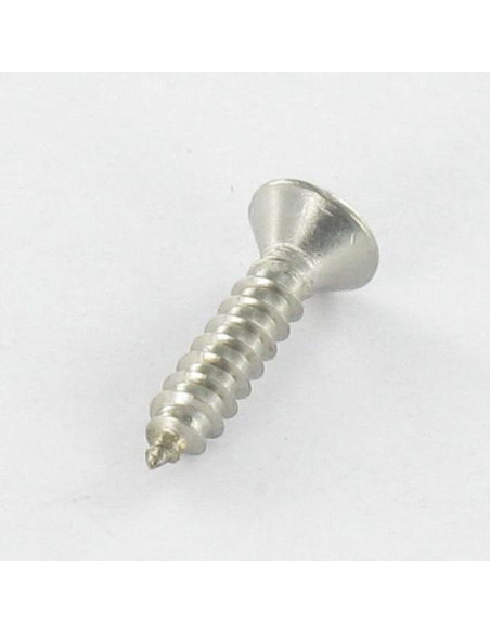 1 x Vis tôle Tête fraisée bombée TFB Pozi 2.9X13 Inox A4